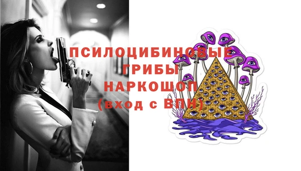 прущая мука Алзамай