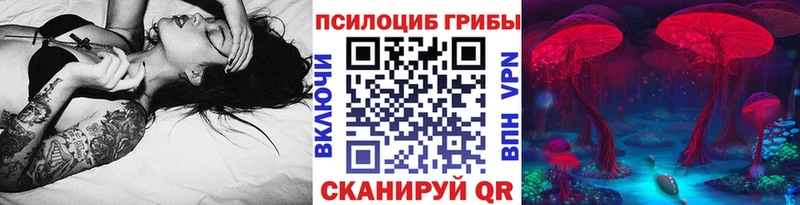 как найти   Красноуфимск  Галлюциногенные грибы GOLDEN TEACHER 